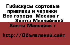 Гибискусы сортовые, прививки и черенки - Все города, Москва г.  »    . Ханты-Мансийский,Ханты-Мансийск г.